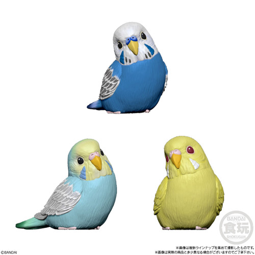 Shokugan: Tenori Friends 4 (Birds) Display of 12