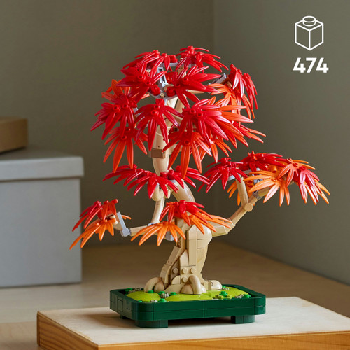 Botanicals Japanese Red Maple Bonsai Tree 10348