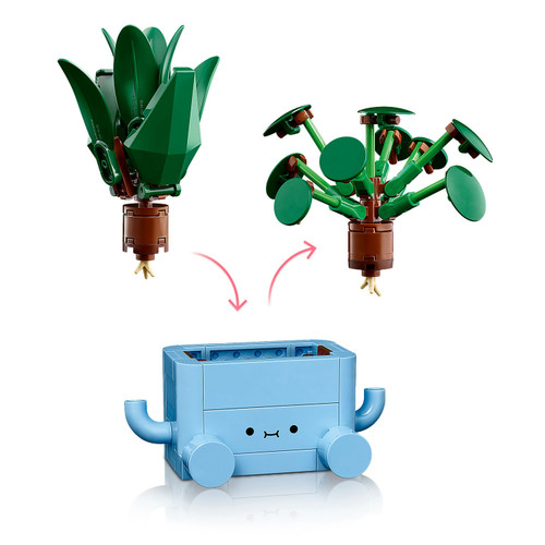 Botanicals Happy Plants Home Decor Set 10349