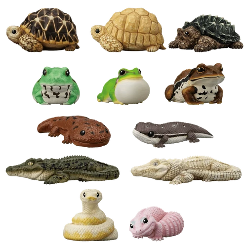 Shokugan: Tenori Friends Wave 12 (Reptiles & Amphibians) Display of 12