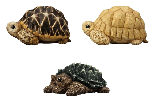 Shokugan: Tenori Friends Wave 12 (Reptiles & Amphibians) Display of 12