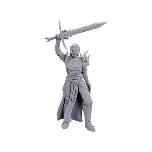 D&D Nolzur's Marvelous Miniatures - Blackguard (90772)