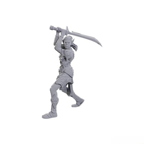 D&D Nolzur's Marvelous Miniatures - Special Edition Baldur's Gate 3: Lae'zel & Shadowheart (96365)