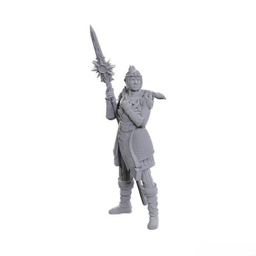 D&D Nolzur's Marvelous Miniatures - Special Edition Baldur's Gate 3: Lae'zel & Shadowheart (96365)