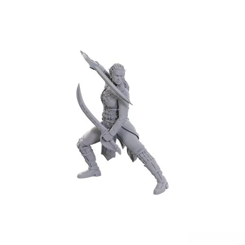 D&D Nolzur's Marvelous Miniatures - Special Edition Baldur's Gate 3: Jaheira & Halsin (96368)