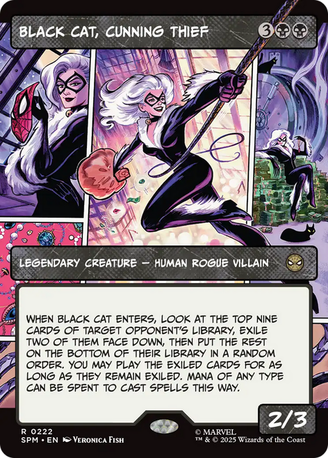 Black Cat, Cunning Thief (Comic Panel)