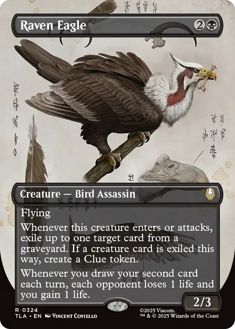 Raven Eagle (Borderless Field Notes)