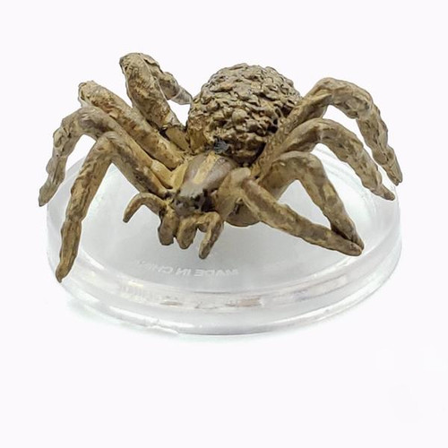 Ghost Light - Giant Wolf Spider (#21)