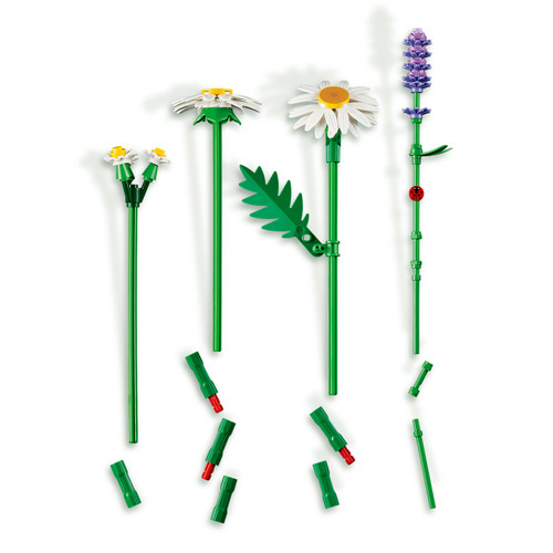 Botanicals Daisies - Flower Bouquet 11508