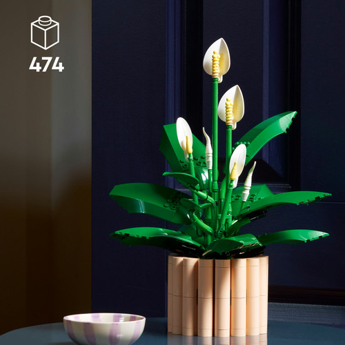 Botanicals Peace Lily Flower Decor Set 11504