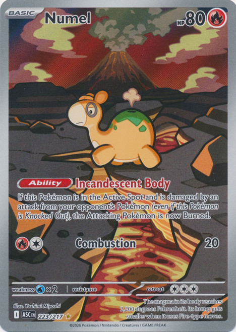 ME Ascended Heroes 223/217 Numel (Illustration Rare)