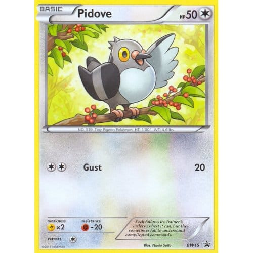 Black & White Promo BW15 Pidove