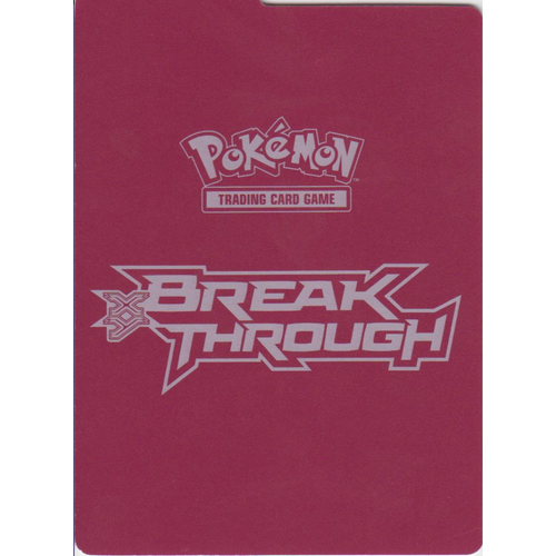 XY Break Through Mega Mewtwo Y Storage Divider
