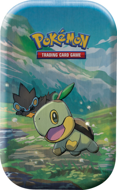 EMPTY Sinnoh Stars Mini Tin - Turtwig & Luxray