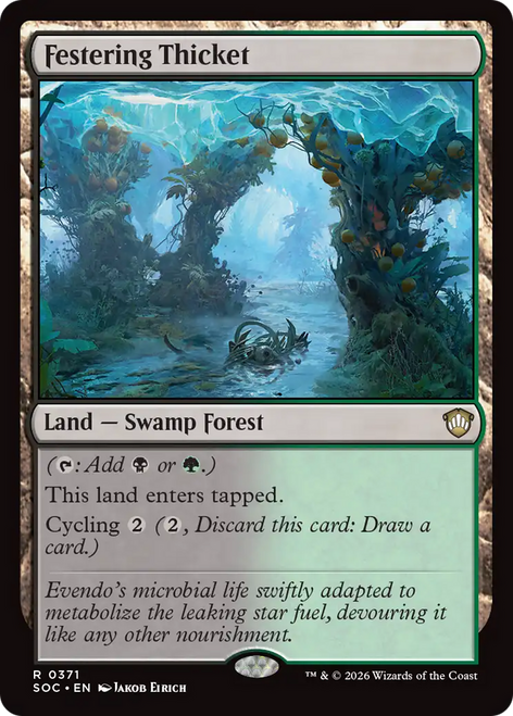 Festering Thicket