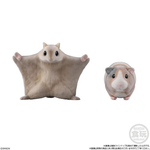 Shokugan: Mofu Mofu Tenori Friends 2 - Cute & Furry Display of 12