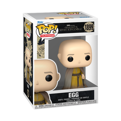 POP! TV - A Knight of the Seven Kingdoms #1899 Egg
