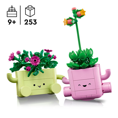 Botanicals Rocking Plants 11506