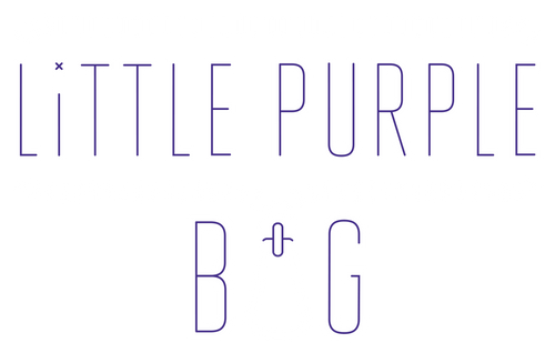 Little Purple Bag