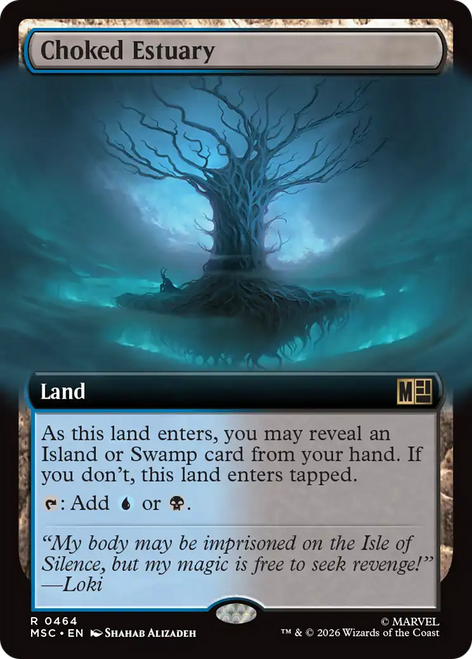 Choked Estuary (Extended Art)