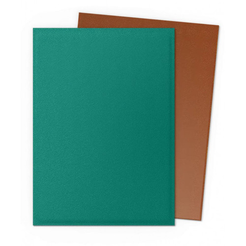 Dragon Shield Dual Matte Sleeves - Power & Copper (100)