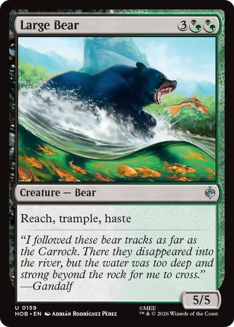Large Bear