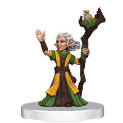 Adventures in Faerun - Gnome Emerald Enclave Druid (#37)