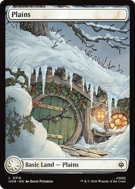Plains (Full Art Foil) (#316)