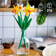 Creator Daffodils Artificial Faux Flowers Set 40747