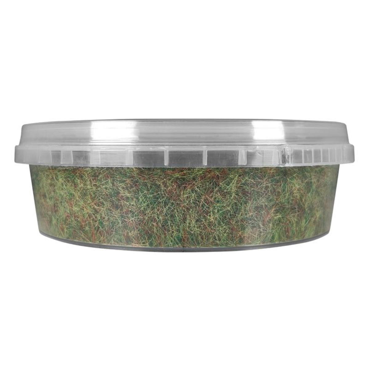 Colour Forge: Static Grass Meadow Grass (275ml)