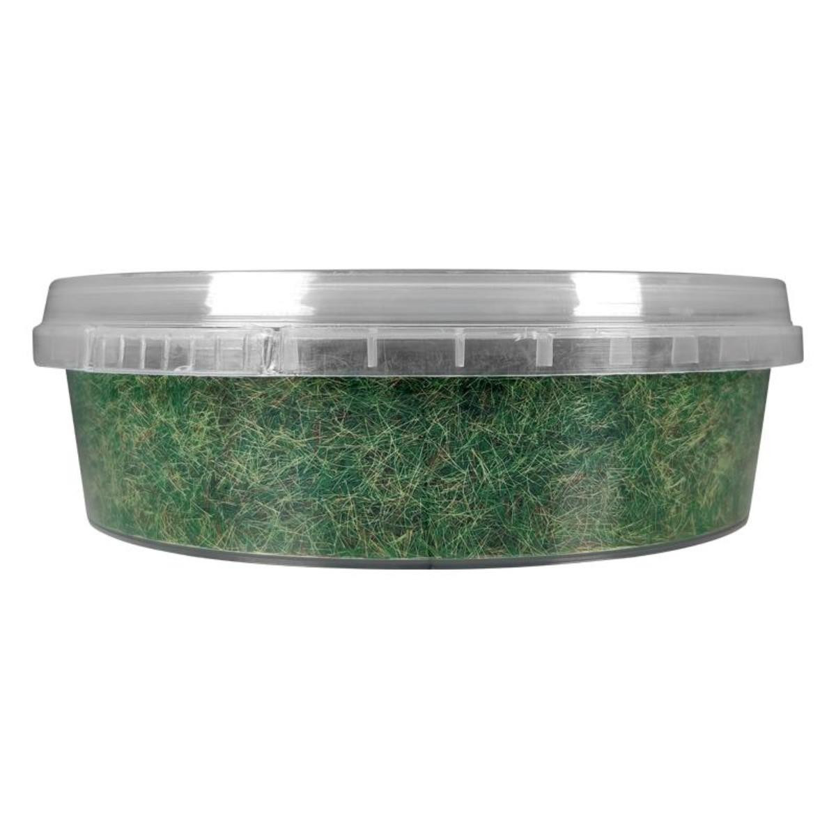 Colour Forge: Static Grass Summer Grass (275ml)