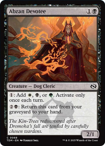 Magic: The Gathering Abzan Devotee Tarkir: Dragonstorm in Black used