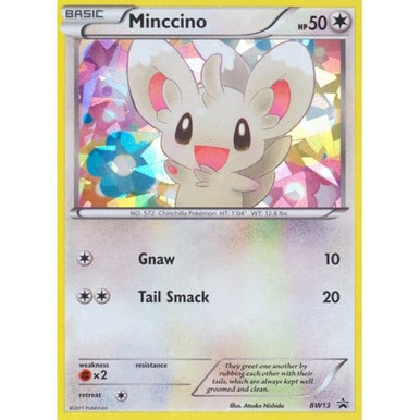 Black & White Promo BW13 Minncino (Shatter Holo)、Pokemon、kayou