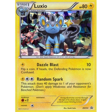 Black & White Promo BW34 Luxio (Shatter Holo)、Pokemon、kayou