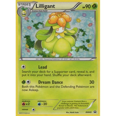 Black & White Promo BW49 Lilligant、Pokemon、kayou