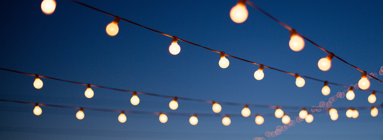 LED Festoon Lights