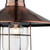 Firstlight Crescent Retro-Industrial Style 27cm Pendant Light in Antique Copper and Clear Glass Image 2