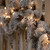 Festive 49.9m Indoor & Outdoor Sparkle Light String Lights 2000 Warm White LEDs 2