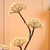 Festive 120cm Dewdrop Firework Ball Tree 1296 Warm White Micro LEDs 2