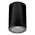 Firstlight Max Outdoor Ceiling Light Resin in Black