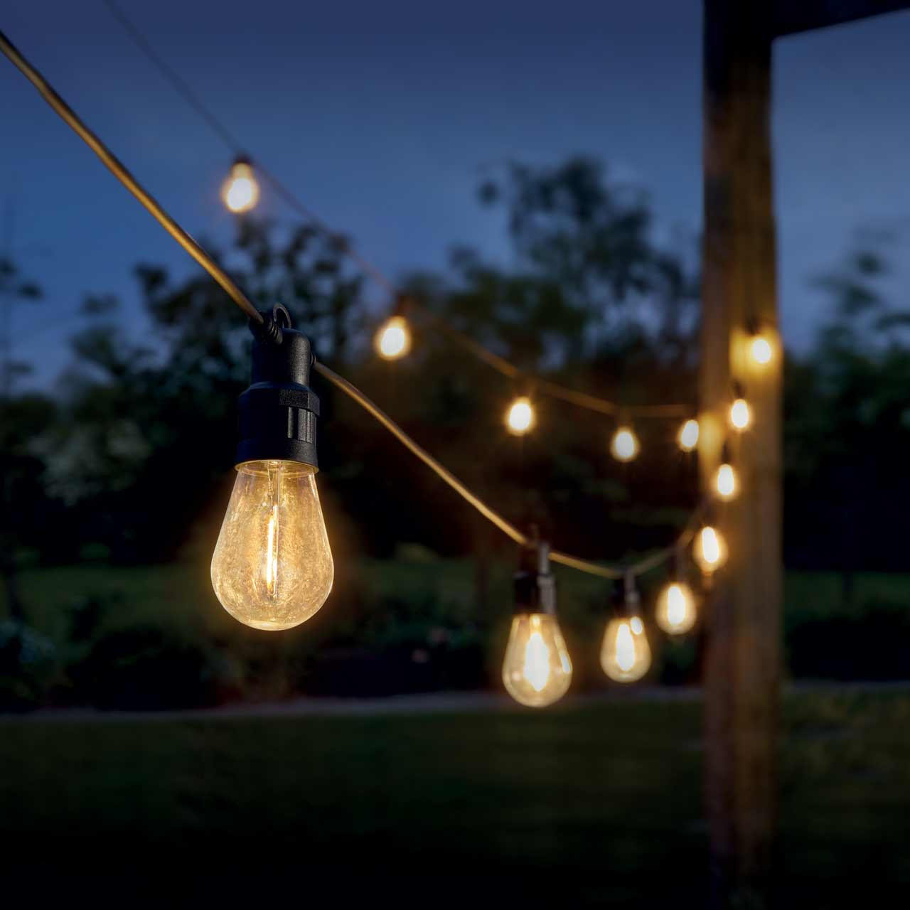 Eureka Lighting LED Vintage Festoon Festoon Light (Set of 20 Lights) Warm White