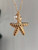 Starfish