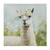 Llama Canvas Wall Art(D0102HR5PWX.)