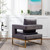 Lenola Contemporary Upholstered Accent Arm Chair, Gray(D0102HRWCET.)