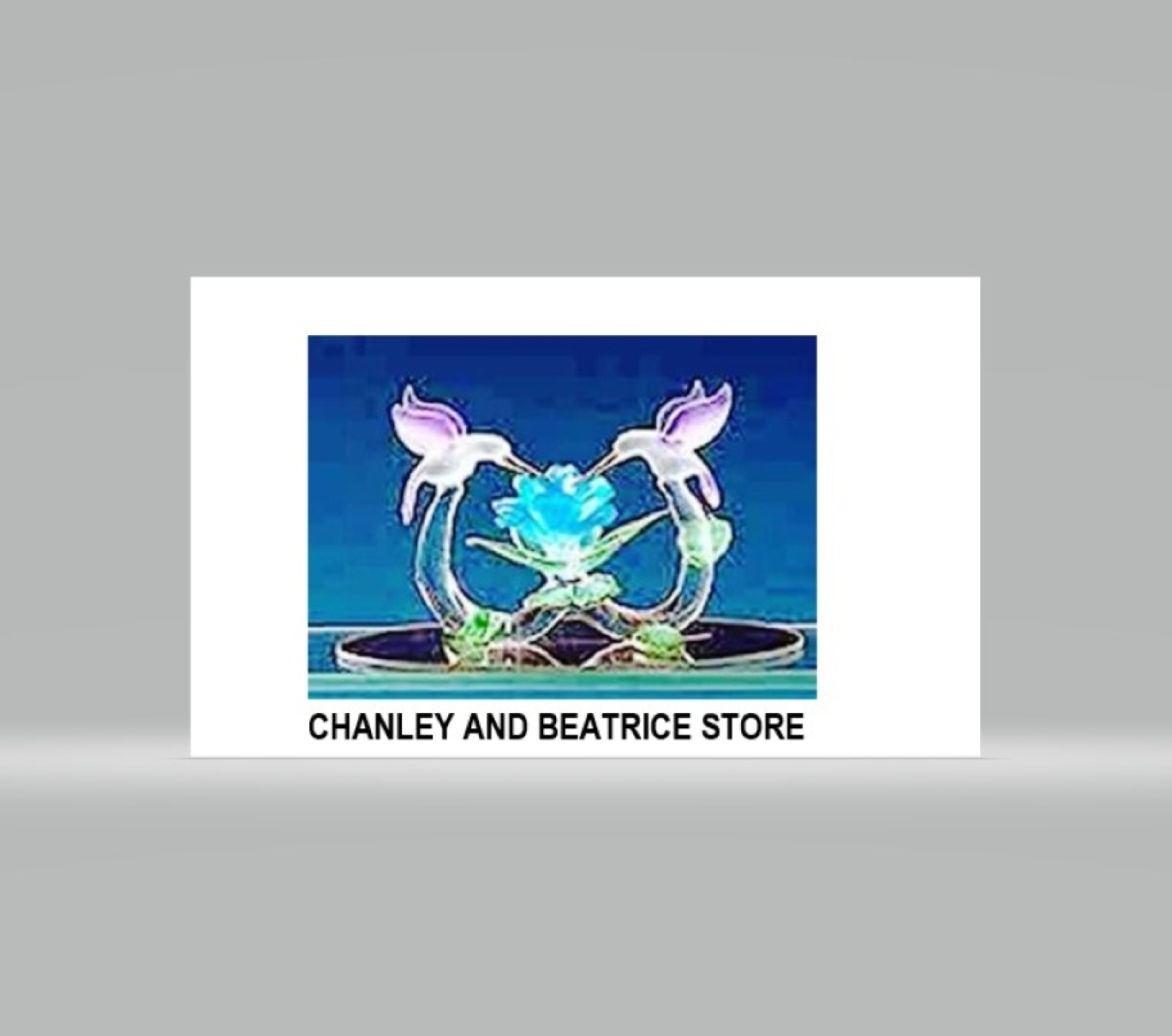 Chanley And Beatrice Store LLC