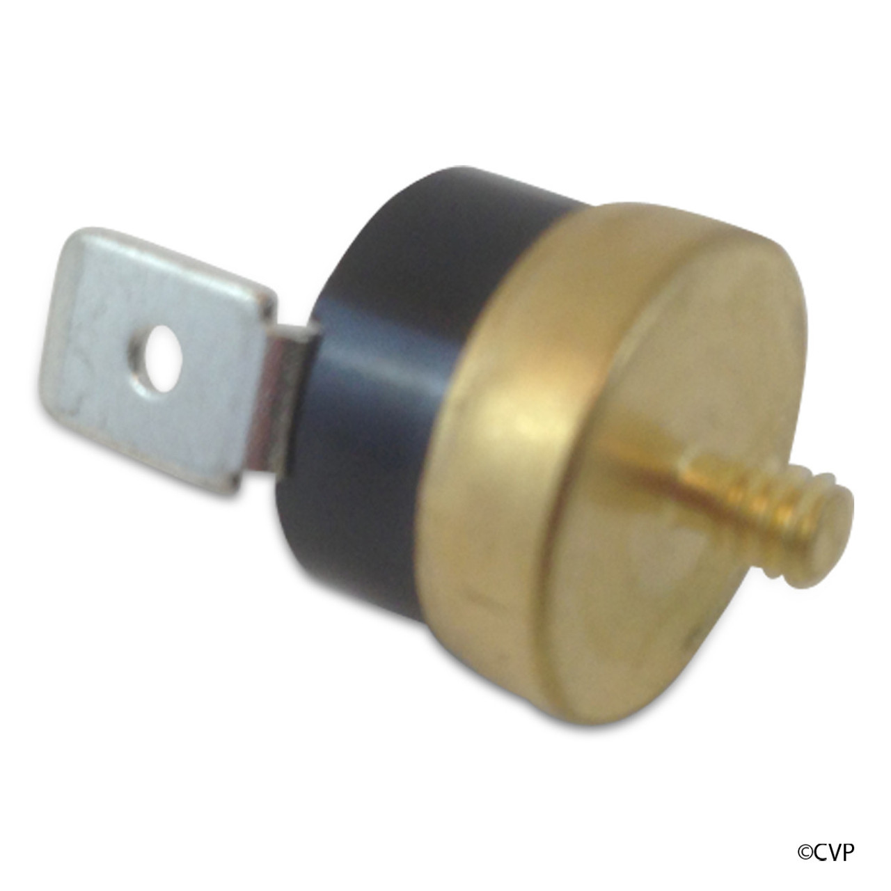 Pentair 71017 Minimax 75 And 100 Heaters Commercial Powermax HiLimit