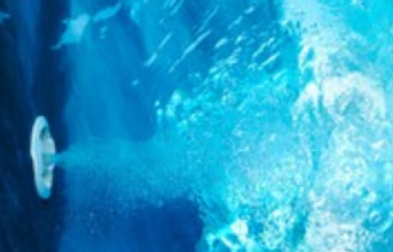 Diagnosing Your Sick Pool Pump