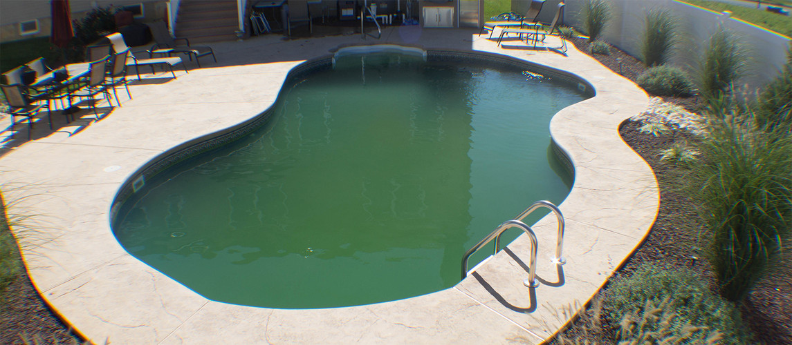Help! There is Algae in My Pool! (And How to Get Rid of It)