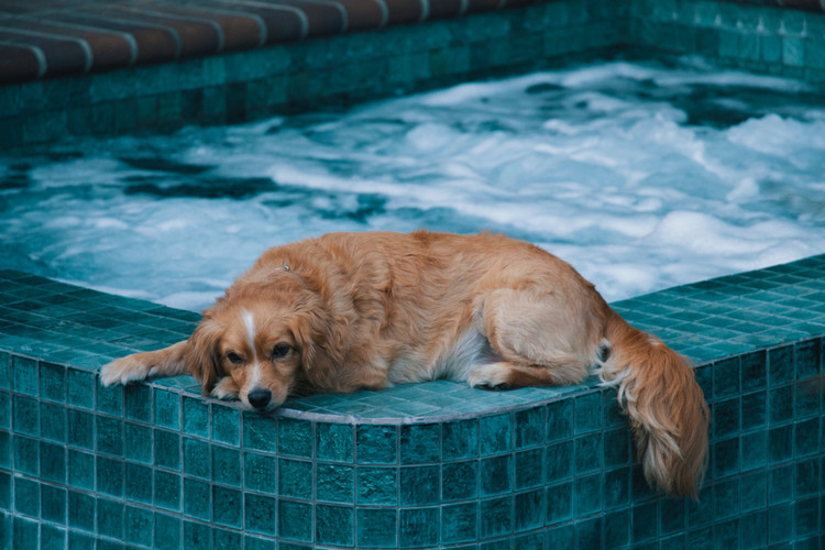 Home Hot Tub Basics