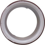 Waterway Plastics Retainer Ring With Oring | 212-4700